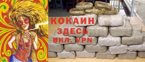 ешки Алзамай