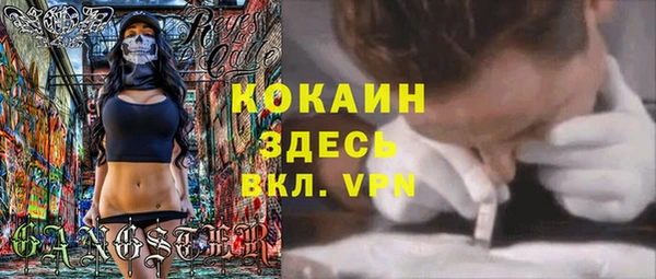 ПСИЛОЦИБИНОВЫЕ ГРИБЫ Алексеевка