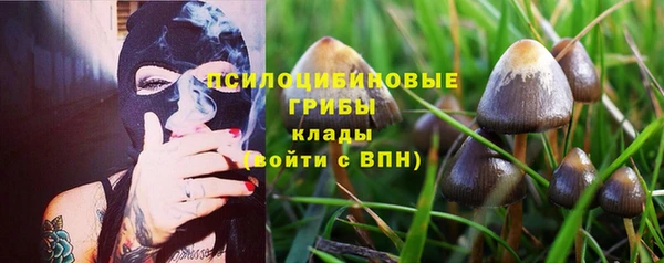 ПСИЛОЦИБИНОВЫЕ ГРИБЫ Алексеевка