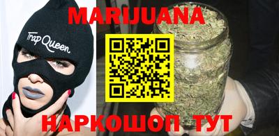 мяу мяу мука Кандалакша