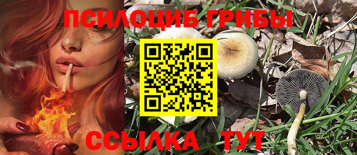 Псилоцибиновые грибы GOLDEN TEACHER Сочи