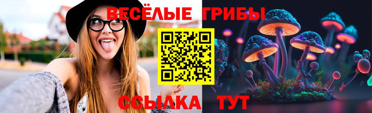 Псилоцибиновые грибы прущие грибы  Вход с VPN  Сочи 